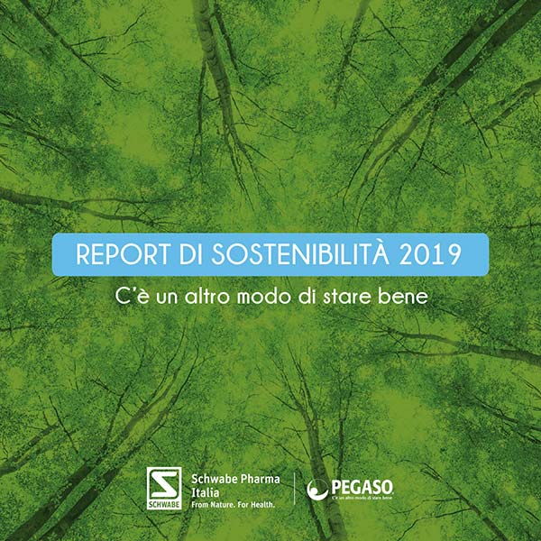 Anterprima articolo Report di Sostenibilità 2019 Schwabe-Pegaso