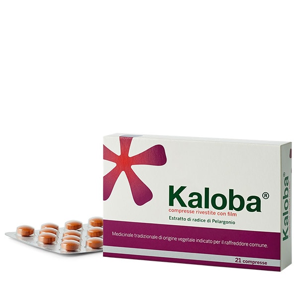 Kaloba compresse farmaco vegetale influenza, raffreddore, tosse e mal di gola