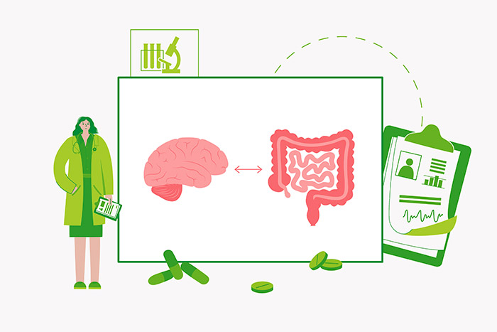 connessione intestino e psiche asse intestino cervello